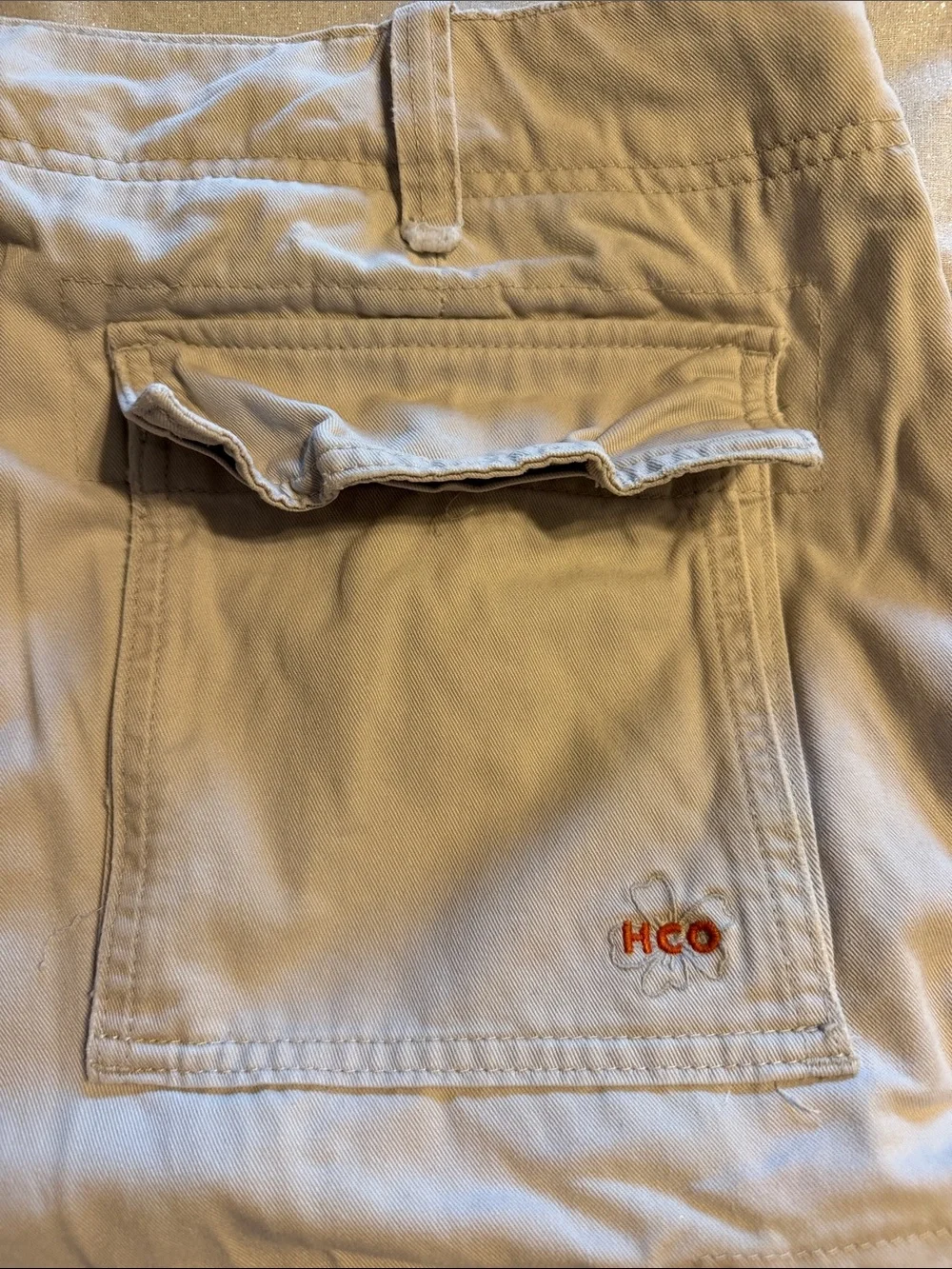 Hollister men cargo